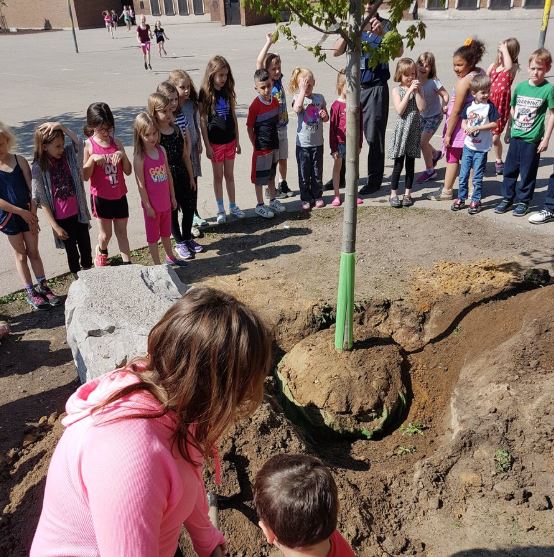 Tree planting ceremony 